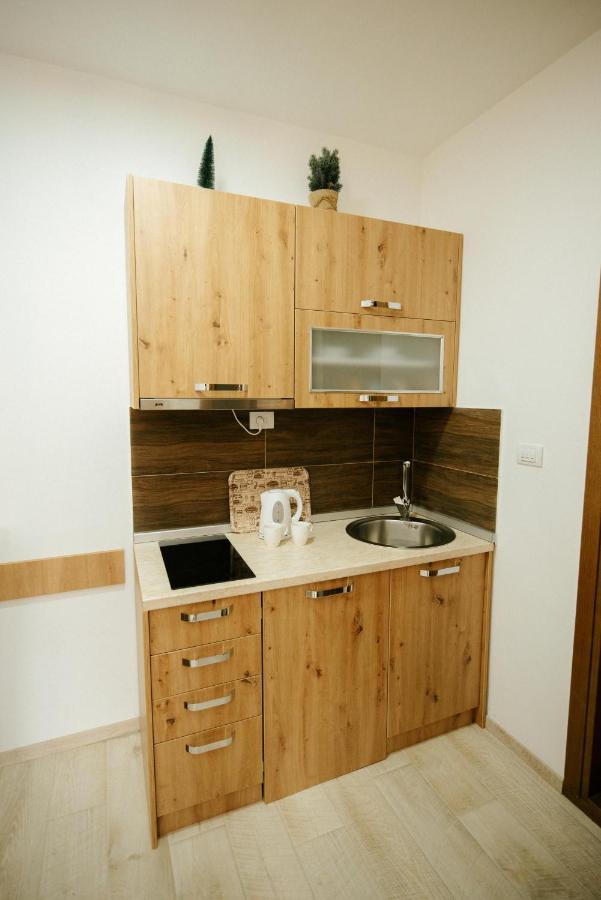 Apartman Kostic Kraljev Konak Kopaonik Buitenkant foto